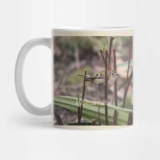 Goldcrest Bird perched on a twig Photograph Mug